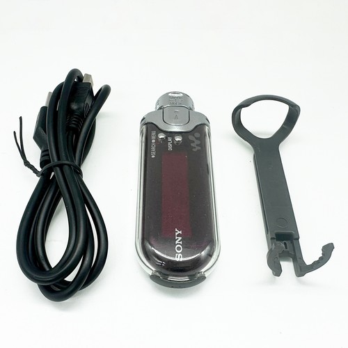 Sony e407 lettore audio - nw-e407,